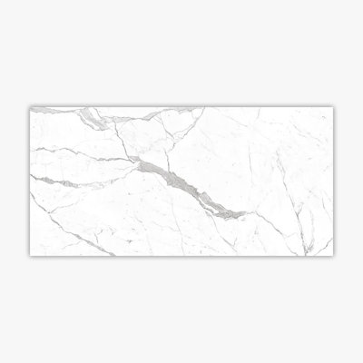 Calacatta 24"" x 48"" Porcelain Marble Look Singular Wall & Floor Tile -  Direct Stone Source, POR10129-MPN