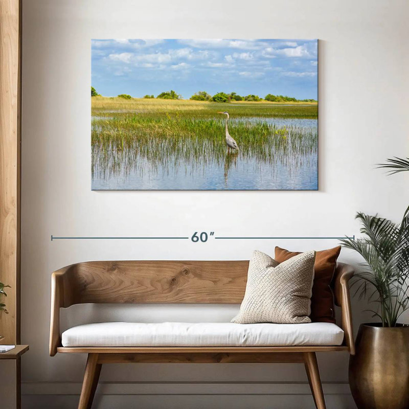 Alvord dans le parc national des Everglades, H 30 po x l 45 po