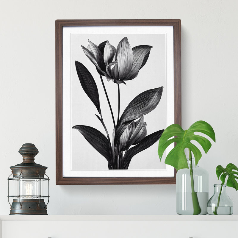 Monochrome Flower - Framed Print, 46cm H x 34cm W x 2cm D, Walnut