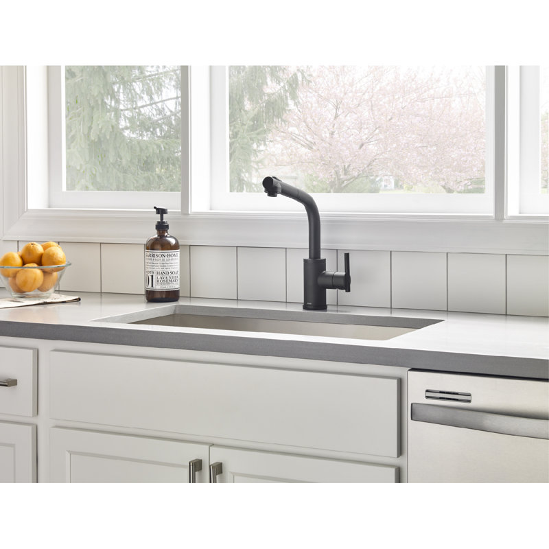 Parma Pull Out Single Handle Kitchen Faucet