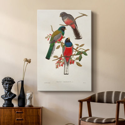 ElegantTrogonsIX - Cavas de galerie sur mesure
