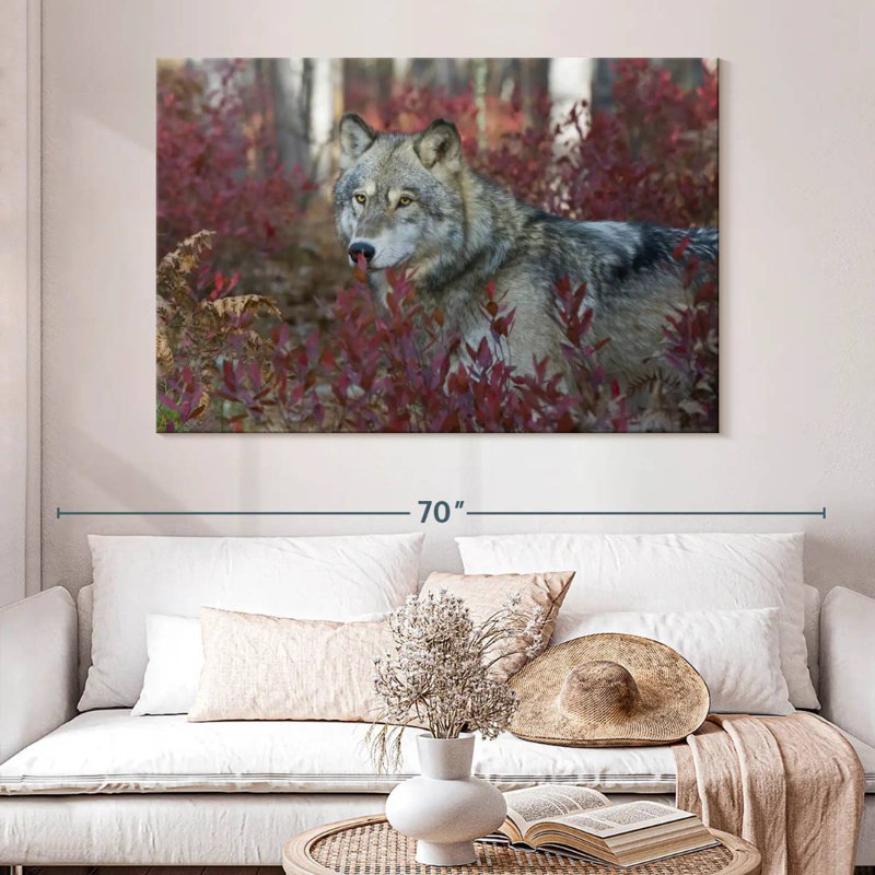Loup gris Brampt, H 34 po x l 51 po