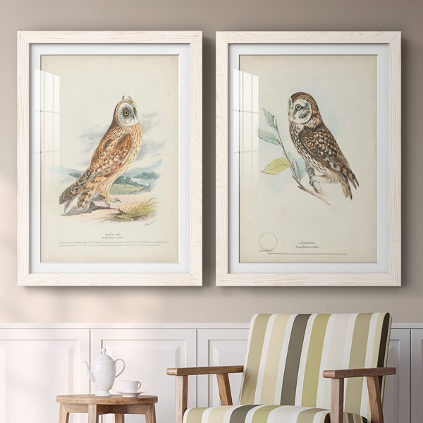 Gracie Oaks Hawk Owl Framed On Canvas 2 Pieces Print | Wayfair