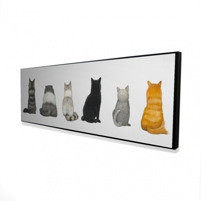 " Six Cats Lined Up Back View "