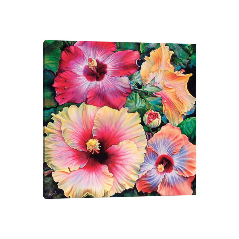 Up Country 1 Piece Wrapped Canvas Wall Art, 66.04 cm H x 66.04 cm W x 3.175 cm D