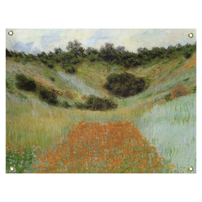 Champ dépilée dans un tapisserie creux Mane
