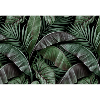 Feuillage tropical luxuriant à feuilles tropicales