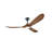 3-Blade Indoor Smart Ceiling Fan with Light and Remote/APP Control,3 LED Colors,6 Speed Quite DC Motor,Timer-1529255-17103311