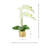 Orchid Arrangement in Fiberstone Vase