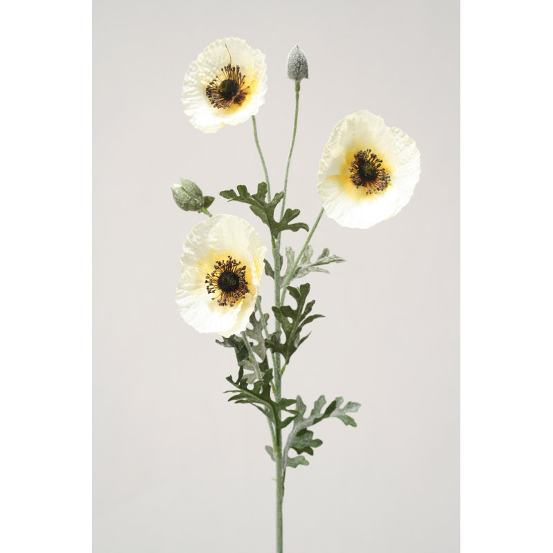 Jet de coquelicot