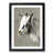 Black Framed selected