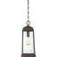 Mini-luminaire suspendu 1 lumière Agawam