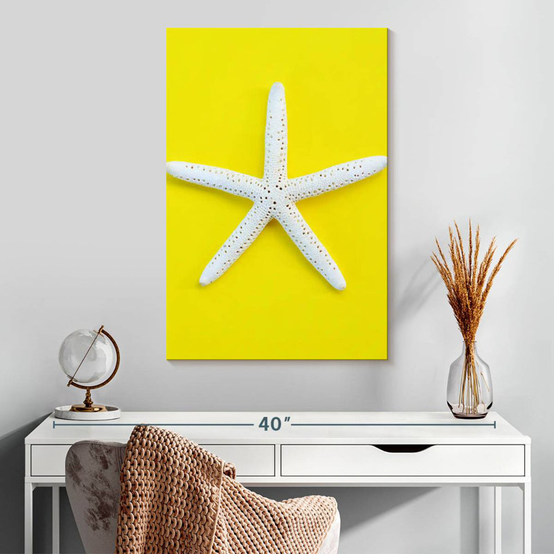 Brampt White Sea Star, 30" H x 20" W