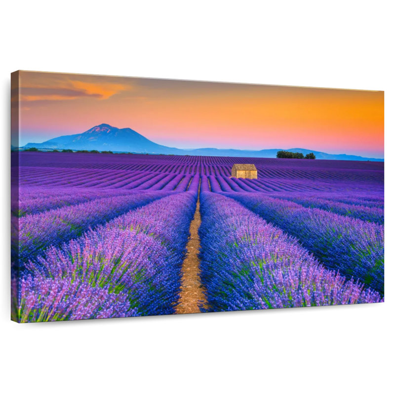 Alvord superbe champ de lavande Valensole, H 32 po x l 48 po