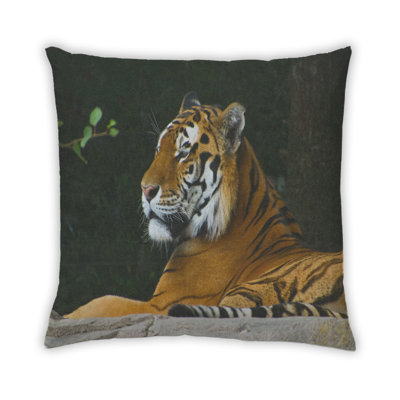 Coussin 1