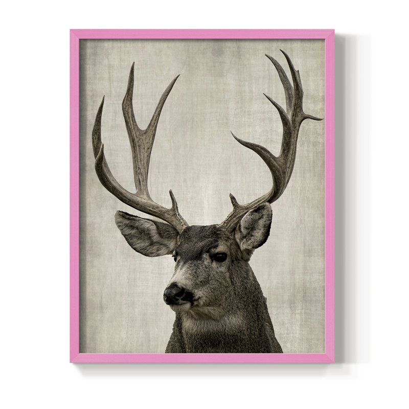 Impression encadrée Colorado Buck - bois massif, Rose, H 11 po x l 9 po