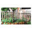 Paquet de 4 treillis de jardin en métal antirouille pour plantes grimpantes, écran de support de fleurs d'extérieur avec motif à volutes