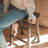 Maven Lane Vincent Wooden Kitchen Stool-655363862-655363858