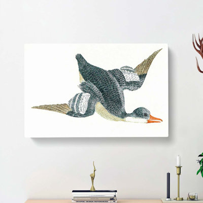 Duck in Flight by Johan Teyler - Wrapped Canvas