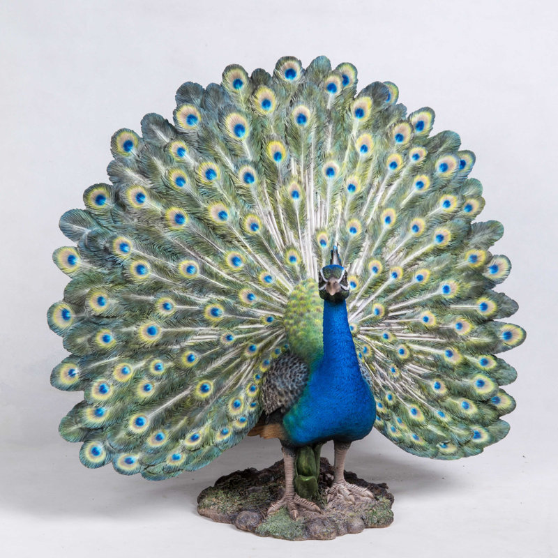 Statue peacock avec plumes out