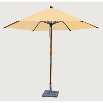 Market Parasol