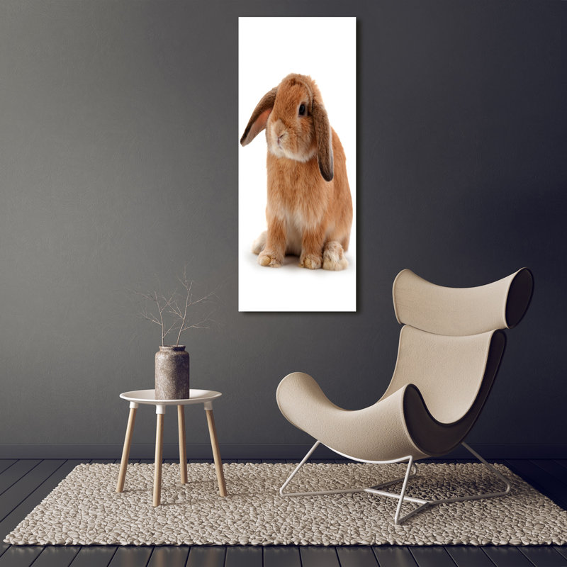 Rabbit - Wrapped Canvas Print