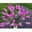Vase décoratif en branche lavande