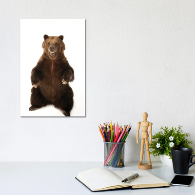 A Federally Threatened Grizzly Bear At Sedgwick County Zoo by Joel Sartore - Gallery-Wrapped Canvas Giclée on Canvas