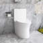 Toilette allongée à jet double siphonique 1,1 / 1,6 GPF Kiddie Furniture