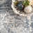 Eugenio Barbed Iris Medallion Blue/Gray Rug-1873485222