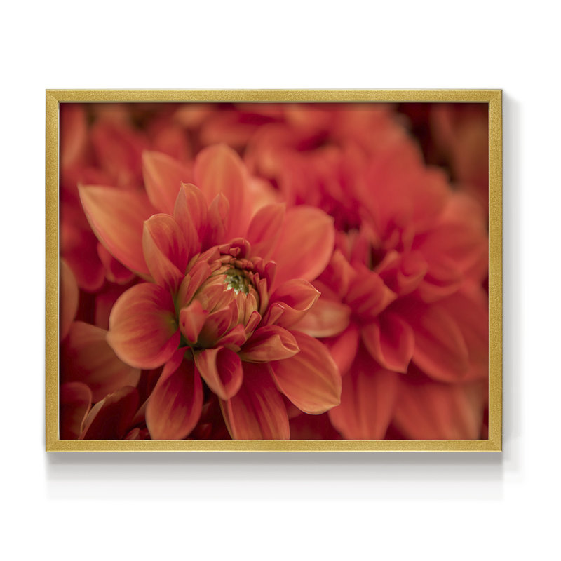 Spring Fire -Framed Print - Restickable, 11" H x 14" W