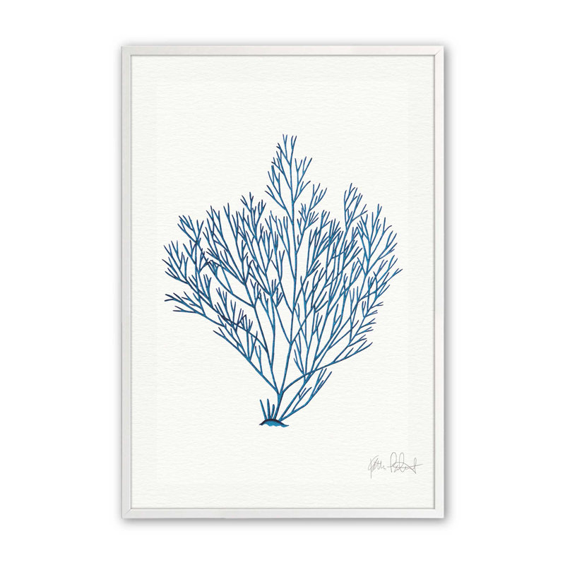 «Nature's Blueprint», Cadre opaque blanc, H 15 po x l 15 po