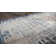 Cobien Oriental Indoor Rug