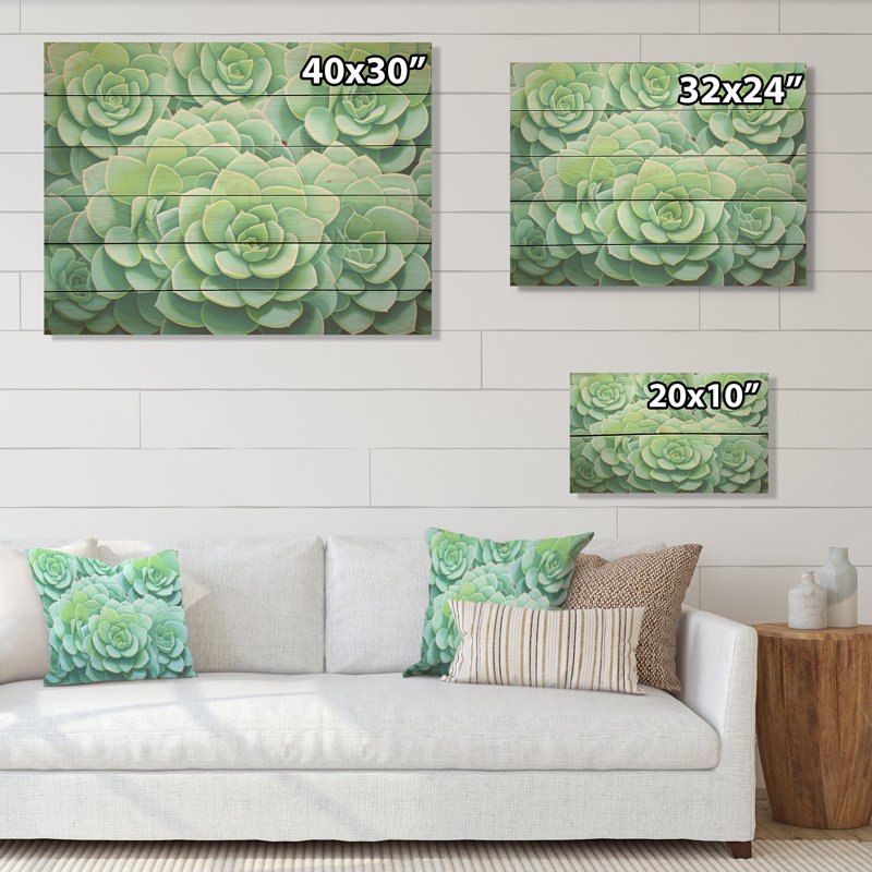 Vert plantes grasses - Art sur bois de pin naturel, H 24 po x l 32 po