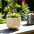 Ceramic Stoneware Planter With Raised Botanical Texture And Footed Base - Modern Decorative Garden Accent