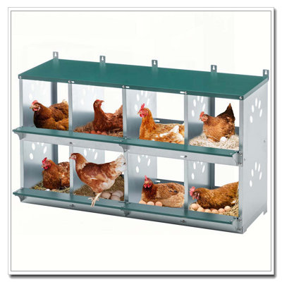Boîte de nidification à 8 compartiments pour poules pondeuses, poulailler en métal, fixation murale pour poulets, poules et poulailler