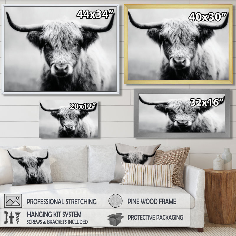 Highland Cow, photographie en Écosse, reproduction d'art sur toile encadrée, H 16 po x l 32 po, Cadre flottant, Noir