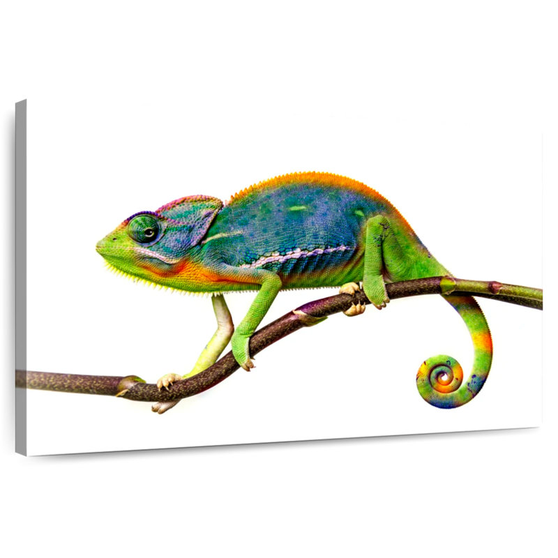 Still Chameleon, 8" H x 12" W