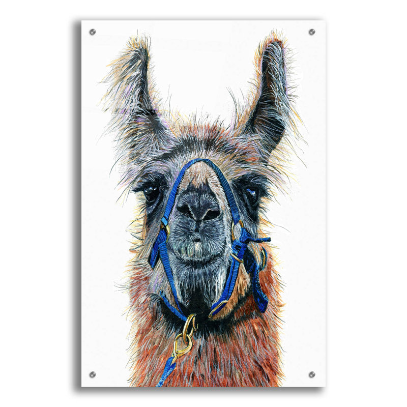 «Dalai Llama» par Melissa Symons, H 36 po x l 24 po x P 0,2 po