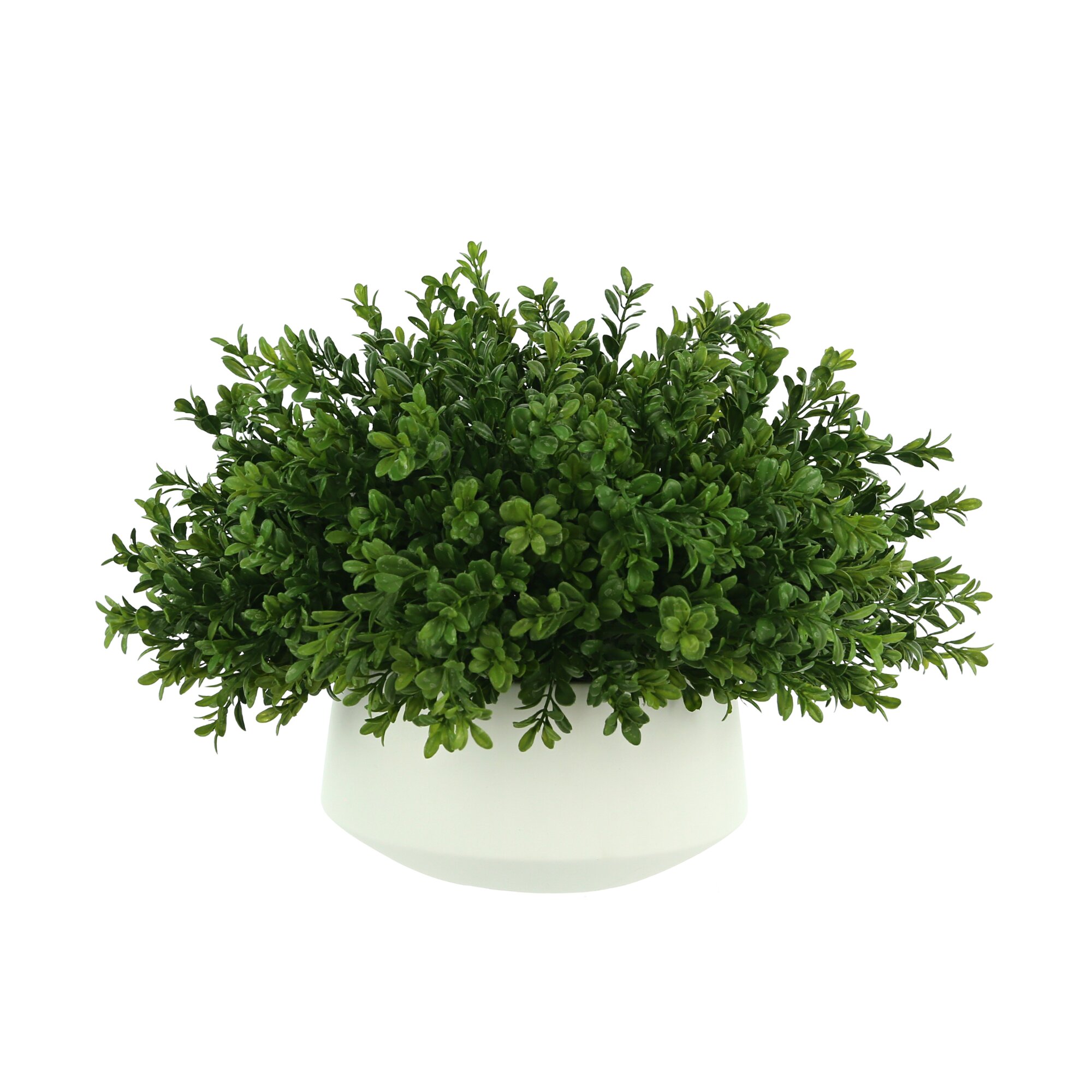 Birch Lane™ Johari 15'' Faux Boxwood Plant in Ceramic Pot & Reviews ...