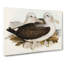 Two Albatross Birds by Elizabeth Gould - Wrapped Canvas-55361411
