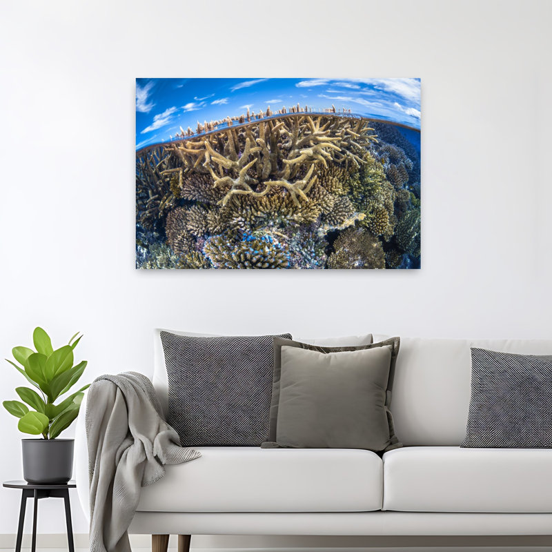 Impression sur art mural tropical tropical, H 32 po x l 48 po