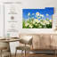 Alvord Daisies On A Sunny Day-107686879