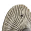 Yesenia Sconce