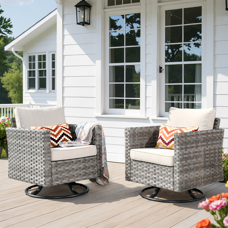Baili Outdoor Patio Chair with Cushions (Set of 2), Beige