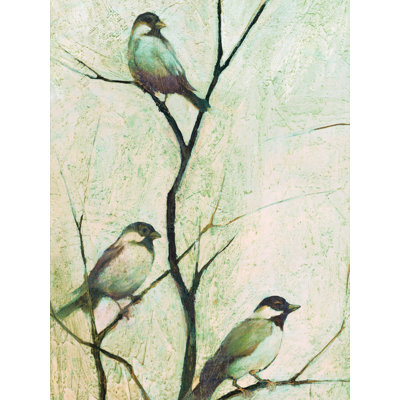 " Bird Watching "