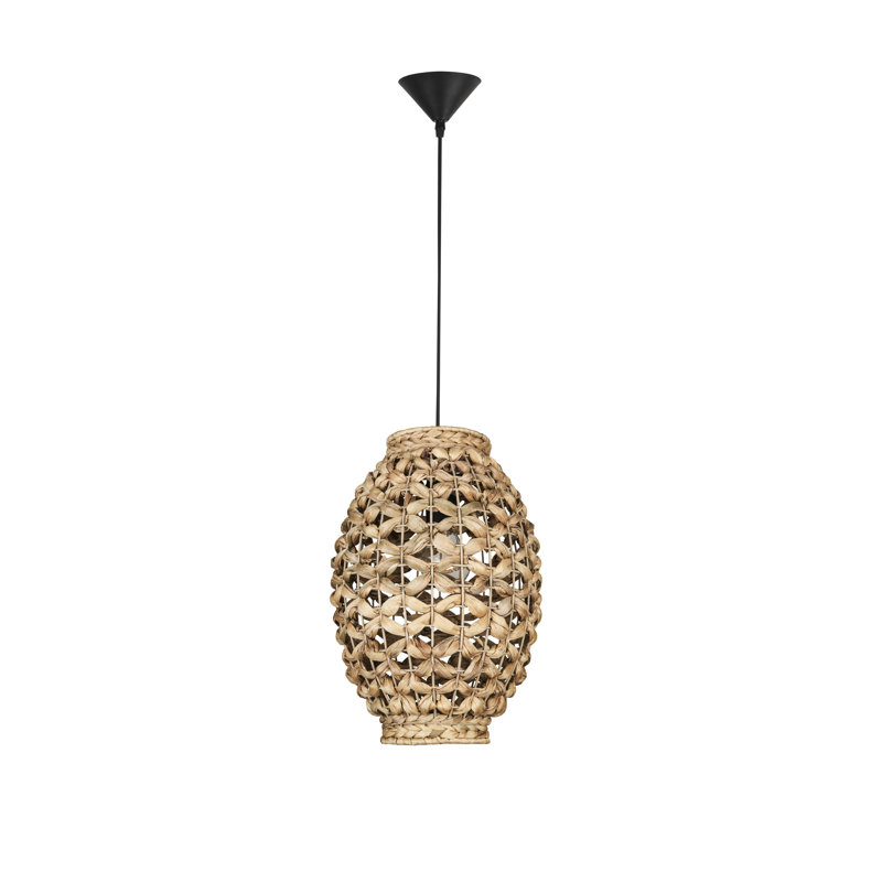 1 - Light Black Single Pendant