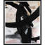 Softness-719585577-719585582-719585583
