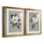 Magnolia botanique - ensemble de 2 reproductions d'art-512224784-512224788-512224786