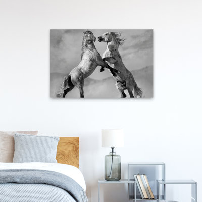 Challgers - Photographie, animaux, chevaux, art